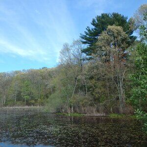 Meet your Posher, Ariana